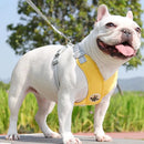 Kit Coleira Peitoral & Guia Pet