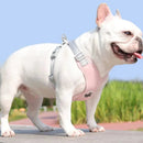 Kit Coleira Peitoral & Guia Pet