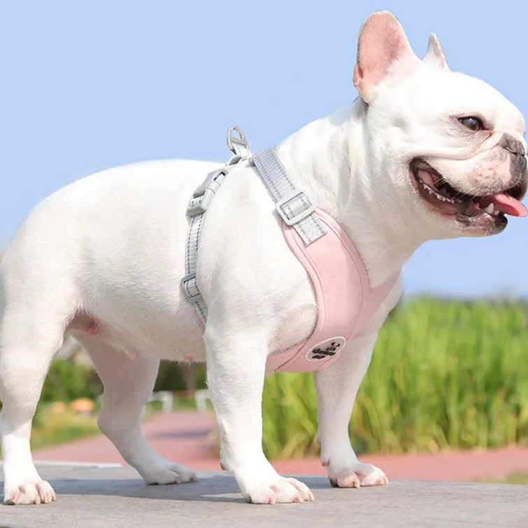 Kit Coleira Peitoral & Guia Pet