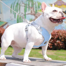 Kit Coleira Peitoral & Guia Pet