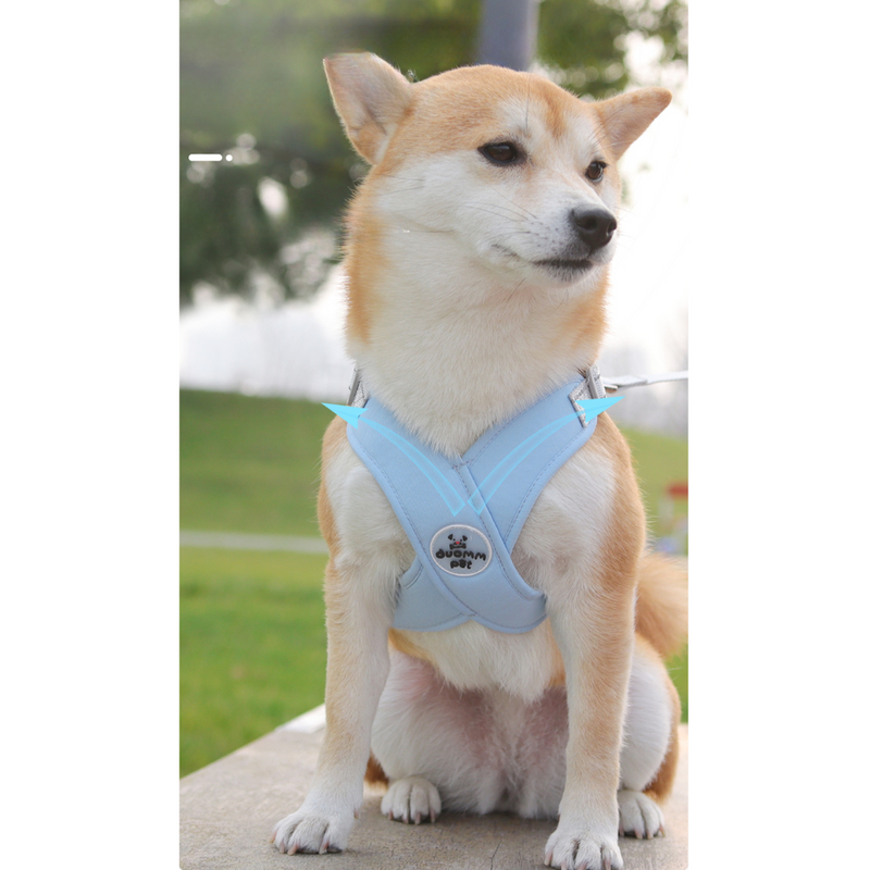 Kit Coleira Peitoral & Guia Pet