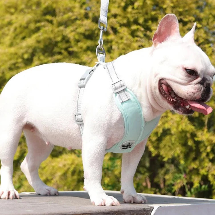 Kit Coleira Peitoral & Guia Pet